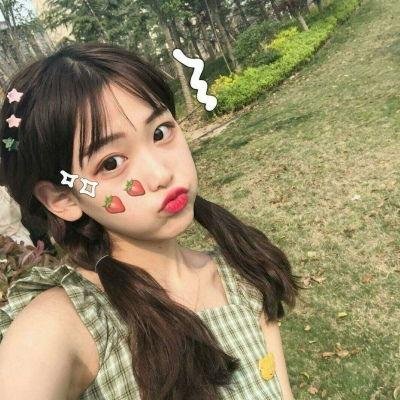 雪落时你向南飞